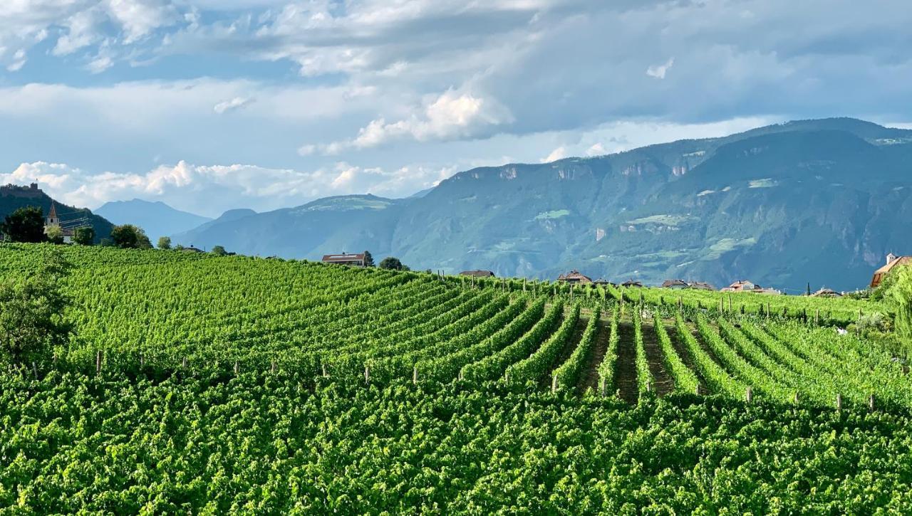 Апартаменти Weingut Gasshof Апп'яно-сулла-Страда-дель-Віно Екстер'єр фото